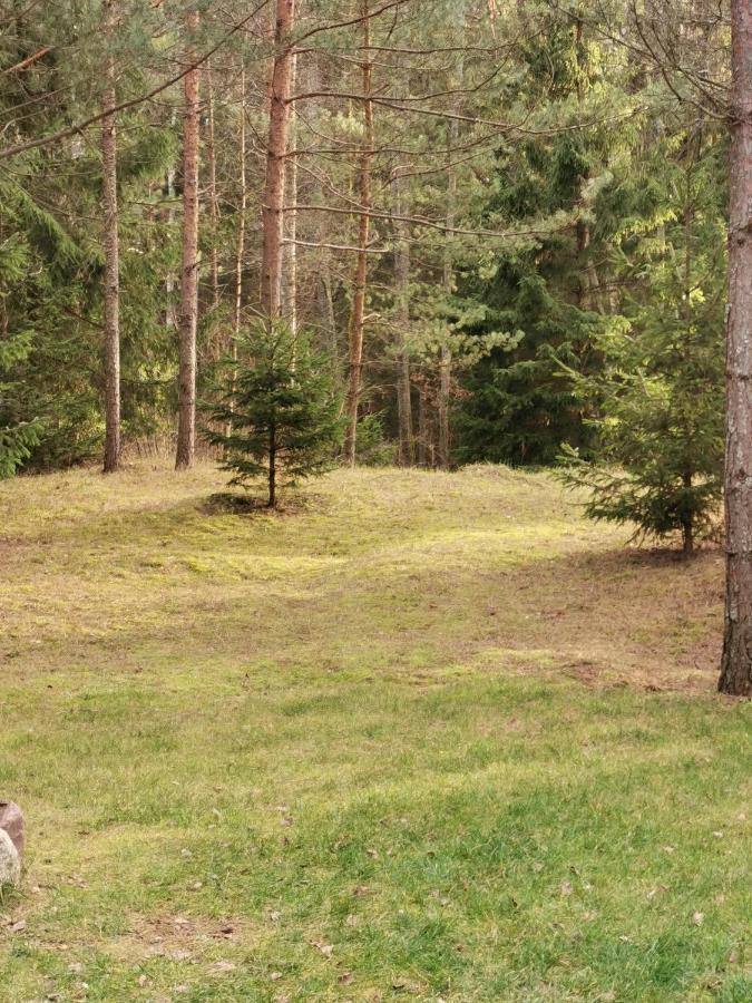 Namelis Su Pirtele Villa Druskininkai Kültér fotó